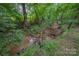 Picturesque creek with natural vegetation, enhancing the property's serene and natural setting at 144 Chickasaw Dr, Shelby, NC 28152