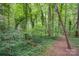 View of the natural landscape featuring lush greenery, trails, and wooded area, perfect for outdoor activities at 144 Chickasaw Dr, Shelby, NC 28152