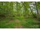 View of the undeveloped land with lush greenery, providing a tranquil natural setting at 144 Chickasaw Dr, Shelby, NC 28152