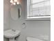 Cozy bathroom with a stylish, oval-shaped mirror, pedestal sink, and natural light from the window at 14501 Asheton Creek Dr, Charlotte, NC 28273