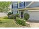 Close up of a charming home featuring blue siding and meticulously maintained landscaping at 14501 Asheton Creek Dr, Charlotte, NC 28273
