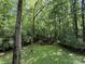 Pictures a scenic backyard with trees, and grass, showcasing the property's peaceful natural setting at 1451 Blueberry Ln, Charlotte, NC 28226