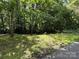 Image displays a verdant backyard with a blend of natural sunlight and shady trees, enhancing its peaceful appeal at 1451 Blueberry Ln, Charlotte, NC 28226