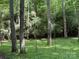 Showcases a natural backyard setting with towering trees and dense bamboo thickets, offering a serene environment at 1451 Blueberry Ln, Charlotte, NC 28226