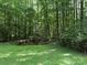 Image of a grassy backyard leading to a tranquil pond, set amidst a densely wooded area at 1451 Blueberry Ln, Charlotte, NC 28226