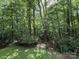 A shot of the yard with greenery, trees, and foliage at 1451 Blueberry Ln, Charlotte, NC 28226