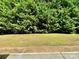 The expansive backyard features a thick, mature line of trees, offering privacy and a natural backdrop at 3678 Privette Rd # 349, Matthews, NC 28104