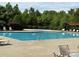 Large outdoor pool surrounded by lush greenery, offering a refreshing escape for residents at 410 Deer Brush Ln, Waxhaw, NC 28173