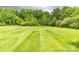 Manicured backyard with an expansive lawn, showcasing a beautiful and well-maintained outdoor space at 4470 W Bandys Cross Rd, Claremont, NC 28610