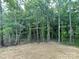 Backyard featuring wooded lot and some trees at 1312 7Th St, Statesville, NC 28677