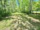 Scenic view of property surrounded by lush greenery and mature trees at 362 Sandburg Rd, Union Grove, NC 28689