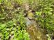 Babbling brook featuring lush foliage and clear water, enhancing the property's serenity at 362 Sandburg Rd, Union Grove, NC 28689