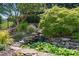Backyard water feature cascading down stones, complemented by lush greenery and mature trees at 43041 Mimosa Ct, Fort Mill, SC 29707