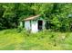 Exterior of detached backyard storage shed in overgrown area at 511 W Finger St, Maiden, NC 28650