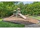 Community playground featuring multiple slides, a swing set, and benches nestled among mature trees at 176 Pleasant Grove Ln, Mooresville, NC 28115