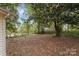 Flat leafy backyard with dense trees at 2214 Grimes St, Charlotte, NC 28206
