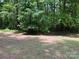 Lush, wooded backyard with a clothesline, providing a private and serene outdoor space at 2815 Penny Park Dr, Gastonia, NC 28052