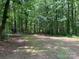 Expansive wooded backyard offers a private and natural setting with mature trees at 2815 Penny Park Dr, Gastonia, NC 28052
