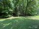 Spacious backyard, presenting a lush lawn and a peaceful, wooded border at 2815 Penny Park Dr, Gastonia, NC 28052