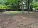 Spacious backyard area featuring a blend of grass and natural terrain surrounded by lush greenery at 7212 Bradley Ct, Charlotte, NC 28227