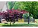 Backyard featuring a Japanese maple and a wooden fence, creating a private, well-maintained landscape at 1110 Archer Farm Dr, Salisbury, NC 28144