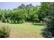 Large backyard featuring lush green lawn, mature trees, and a classic wood picket fence at 1110 Archer Farm Dr, Salisbury, NC 28144