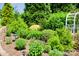 Lush backyard featuring tiered landscaping, a bird bath, and beautiful green ground cover at 1110 Archer Farm Dr, Salisbury, NC 28144