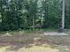 Backyard featuring trees, lawn, and concrete pad at 1521 Park Ave, Salisbury, NC 28146