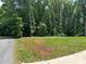 Cleared, grassy lot ready for building among mature trees, perfect for your dream home at 1521 Park Ave, Salisbury, NC 28146