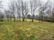 Expansive backyard featuring a sprawling lawn and mature, leafless trees under an overcast sky at 3103 Blue Ridge Dr, Shelby, NC 28150