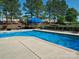 Community pool with lounge chairs and picnic area under the blue umbrellas at 3446 Broadwick St, Charlotte, NC 28213