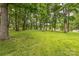 Lush, expansive backyard with mature trees, perfect for outdoor activities at 6641 Pawnee Dr, Charlotte, NC 28214