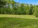 Large open grassy yard surrounded by lush green trees in a private setting at 195 Bluebird Ln, Salisbury, NC 28146