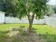 Spacious backyard featuring a white fence, green grass, and a mature tree at 211 Spruce St, Badin, NC 28009