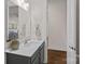 Charming bathroom showcasing a vanity with grey cabinets and a decorative plant at 2185 Loire Valley Dr, Fort Mill, SC 29707