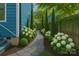 Stone walkway with white hydrangeas and manicured landscaping along the side of the blue home at 331 Solomon St, Charlotte, NC 28216