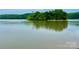 Scenic lake view showcasing lush greenery and tranquil waters, perfect for nature lovers at 344 Linestowe Dr, Belmont, NC 28012