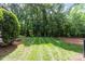 Backyard featuring plush green lawn and woods with a bed of pine needles at 6795 Montgomery Rd, Lake Wylie, SC 29710