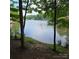 Lake view with docks and homes with docks framed by trees at 6795 Montgomery Rd, Lake Wylie, SC 29710