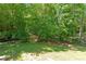 An image of the backyard surrounded by many green leafy trees at 8914 Landsdowne Ave, Harrisburg, NC 28075