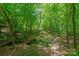 An image of the wooded backyard with a wooden bridge over a small stream at 8914 Landsdowne Ave, Harrisburg, NC 28075