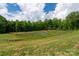 Spacious grassy backyard backing onto a lush greenbelt with mature trees at 9034 Evercrisp Ln, Charlotte, NC 28215