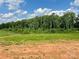 View of the backyard features a grassy area, a line of trees, and a sunny blue sky at 188 Trivette Rd, Harmony, NC 28634