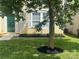 Well-manicured front yard with lush grass, a neatly mulched tree, and charming landscaping details at 4521 Palustris Ct, Charlotte, NC 28269
