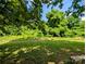 Wide backyard with mature trees, perfect for outdoor activities at 647 Mckay Hill Rd, Mount Gilead, NC 27306