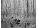 Wildlife trailcam of a group of turkeys feeding in the woods at 722 Clegg Farm Dr, York, SC 29745