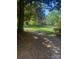 Scenic view of the common grounds with lush landscaping and mature trees at 1121 Myrtle Ave # 58, Charlotte, NC 28203