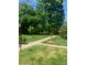 Well-maintained complex grounds with mature trees and a manicured lawn at 1121 Myrtle Ave # 58, Charlotte, NC 28203