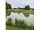 Scenic view of a serene pond reflecting the surrounding greenery and distant farm buildings at 18070 Old Beatty Ford Rd, Gold Hill, NC 28071