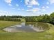Scenic pond surrounded by lush greenery, reflecting the clear blue sky above the countryside at 18070 Old Beatty Ford Rd, Gold Hill, NC 28071